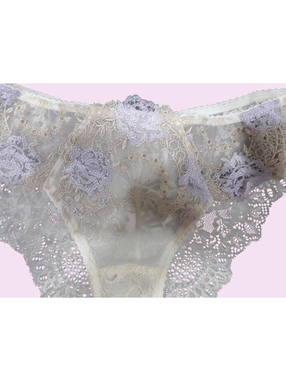 Bradelis New York Lace Biege/Lilac Panty Floral Lace Size S NEW WITHOUT TAGS